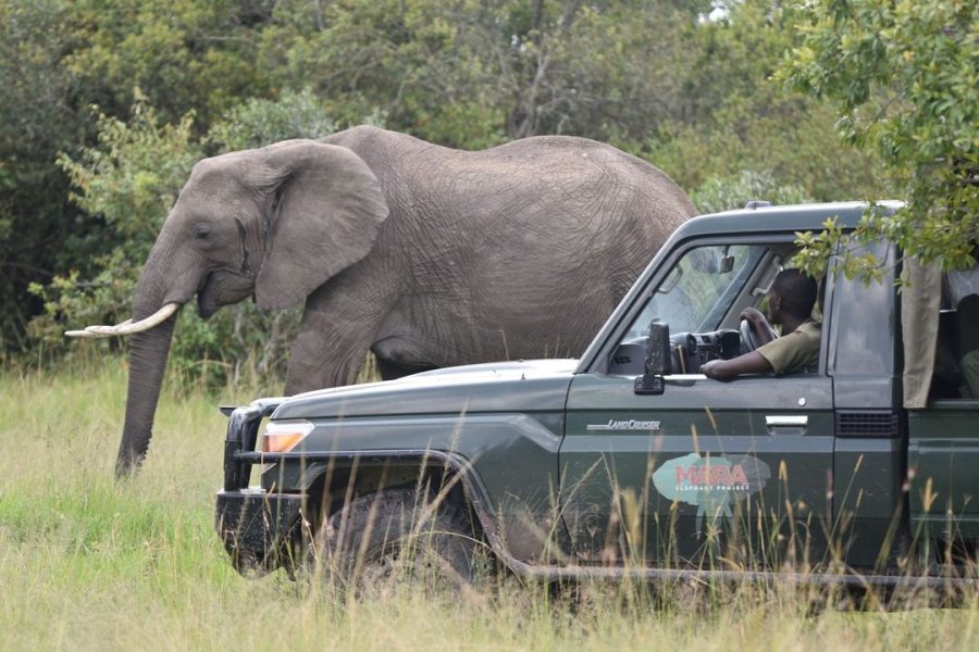 Elephant Friendly Farming with Mara Elephant Project