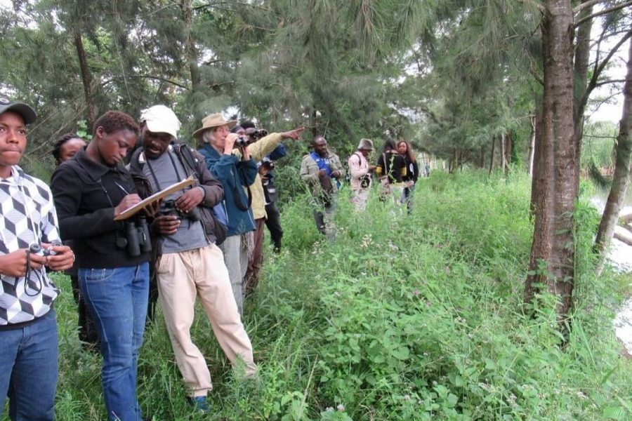 A Morning Bird Walk with Nature Kenya