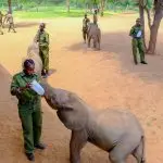 From compensation to conservation – building a wildlife economy