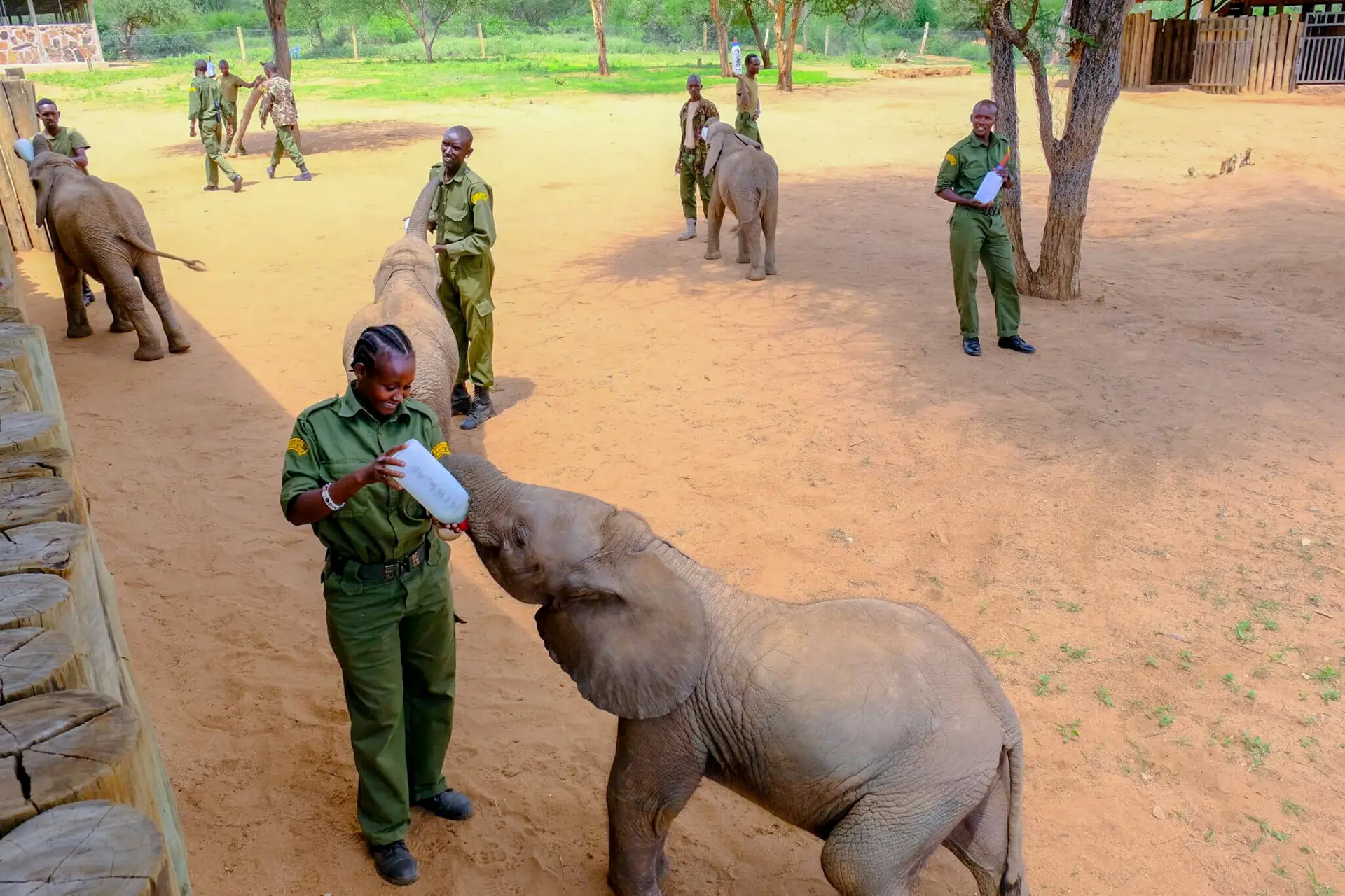 From compensation to conservation – building a wildlife economy