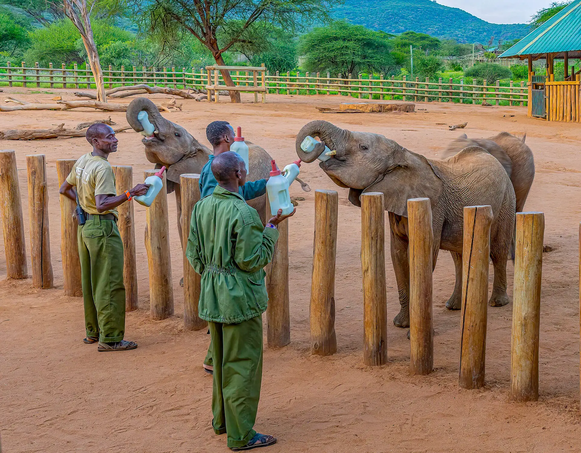 Reducing human-wildlife conflict – A path to coexistence