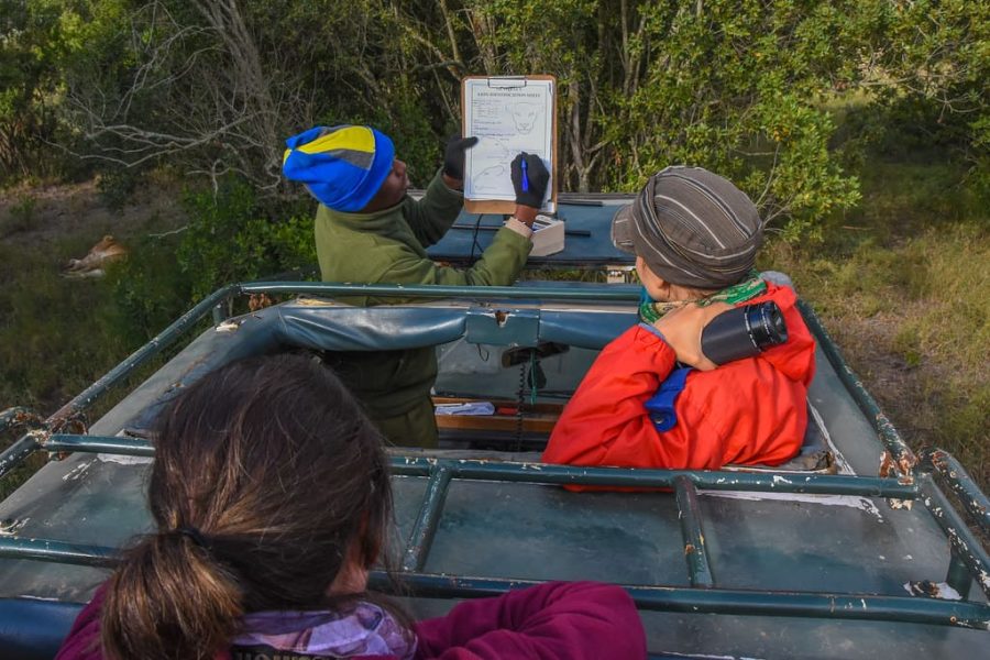 Track lions and aid conservation at Ol Pejeta Conservancy